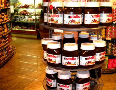 Miniatura: Największa na świecie fabryka Nutelli...