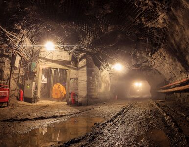 Miniatura: Już ponad 4 tys. górników zarażonych...