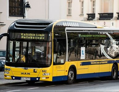 Miniatura: Bezpłatny transport w polskich miastach. W...