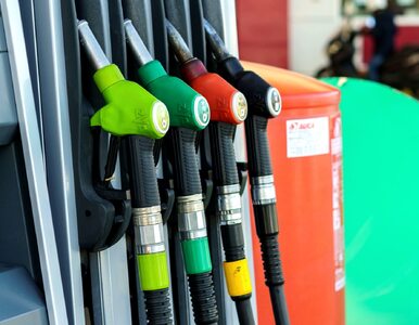 Miniatura: Ceny paliw poszły w górę o 10 proc. w...