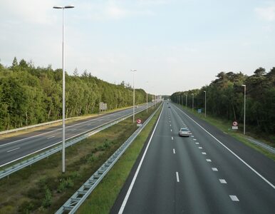 Miniatura: GDDKiA ogłosiła plany budowy dróg. Rosnące...