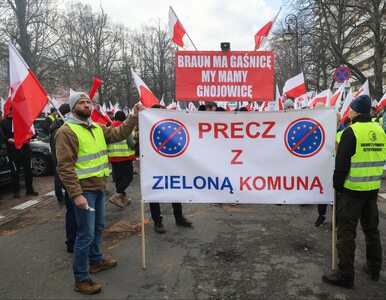 Miniatura: Czy Polacy popierają protest rolników?...