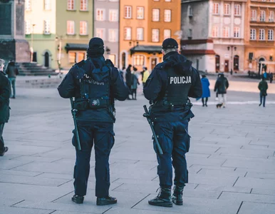 Miniatura: Policja wystawiła mniej mandatów, ale na...