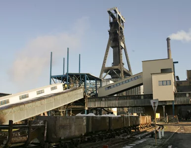 Miniatura: Zakup akcji PGG przez państwo za 7 zł –...