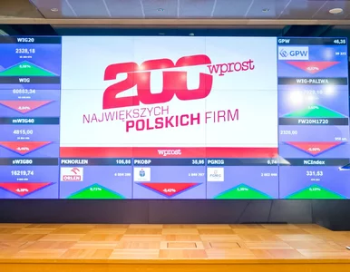 Miniatura: Polscy ambasadorzy