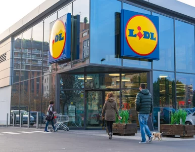 Miniatura: Lidl idzie na całość. Rozdaje masło...