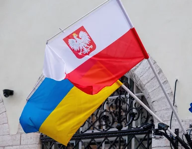 Miniatura: Napięcie na linii Warszawa-Kijów....