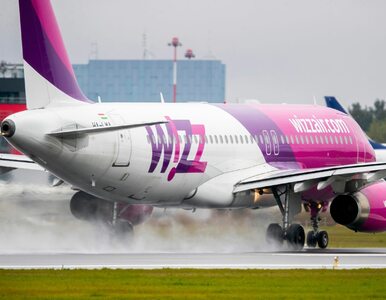 Miniatura: Pracownicy Wizz Air czekali na podwyżki....