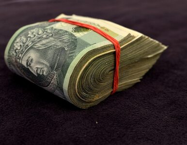 Miniatura: Za „rolowanie długów” firmy zapłacą ponad...