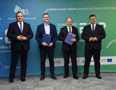 Miniatura: Europejskie Forum Przyszłości łączy siły z...