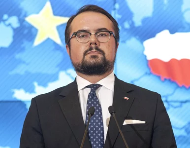 Miniatura: Ponad 50 mln euro kary za Turów....