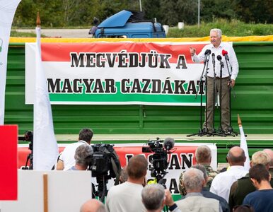 Miniatura: Protesty na Węgrzech. „KE popełniła...
