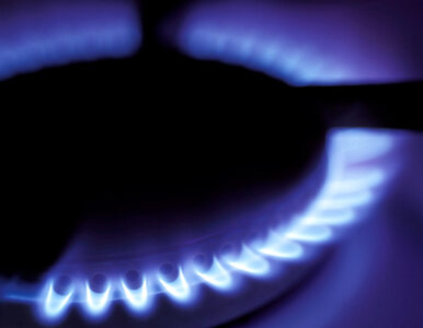 Miniatura: PGNiG chce modernizować sieć gazową, ale...