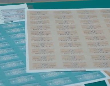 Miniatura: Glapiński o tajnych skrzyniach w skarbcu...