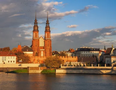 Miniatura: Rynek pracy w Opolu – jak się zmieniał w...