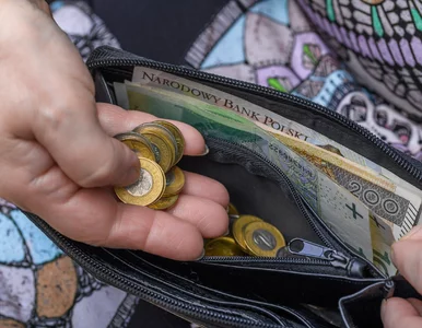 Miniatura: ZUS odbierze czternastkę? Lista wyjątków,...