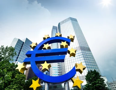 Miniatura: Europejski bank Centralny podnosi stopy...