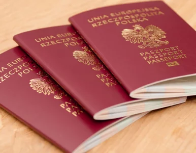 Miniatura: Polska przed USA i Kanadą. Ten ranking...
