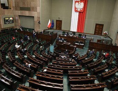Miniatura: Sejm odrzucił poprawki Senatu. Chodzi o...