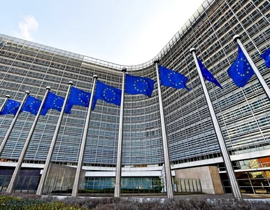 Miniatura: Komisja Europejska wysłała umowy SAFE dla...