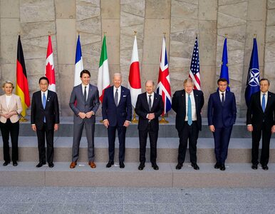 Miniatura: Grupa G7 za wsparciem dla Ukrainy....