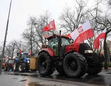 Miniatura: Mer Lwowa krytykuje polskich rolników....