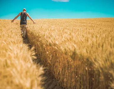 Miniatura: To najwyższa emerytura rolnicza w Polsce....