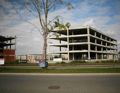 Miniatura: Sondaż: Polacy rezygnują z kupna mieszkania