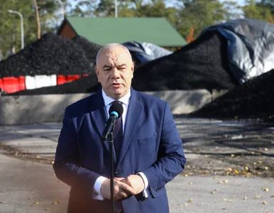 Miniatura: Sasin o węglu: My nie sprowadzamy żadnego...