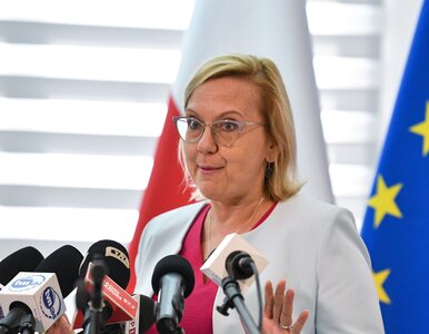 Miniatura: Polska przeciwna propozycji KE dotyczącej...