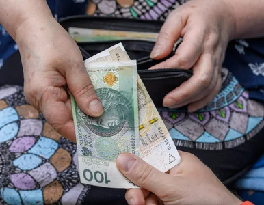 Miniatura: Będzie nowe 300 plus? Tym razem nie dla...