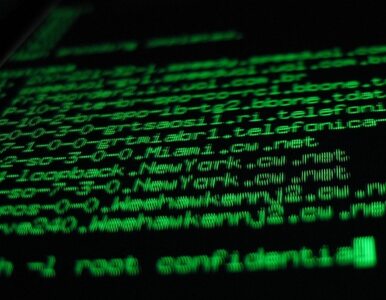 Miniatura: FBI poluje na europejskich hakerów