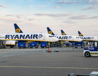 Miniatura: Ryanair ogłosił nowe trasy z Polski....