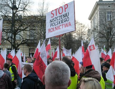 Miniatura: Protest rolników w Warszawie. Rafał...