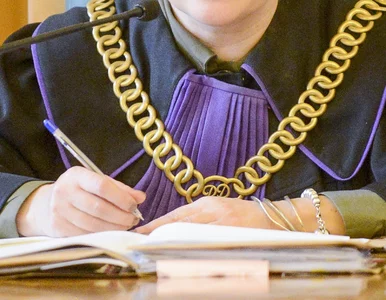 Miniatura: Kilkanaście tysięcy błędnych wyroków...