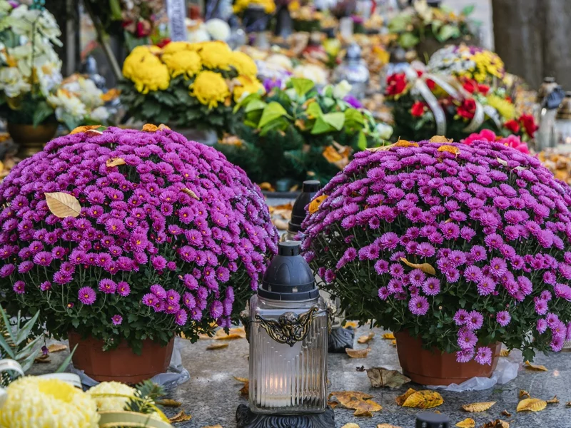 Wszystkich Świętych za pasem. Tyle Polacy wydadzą na znicze i kwiaty