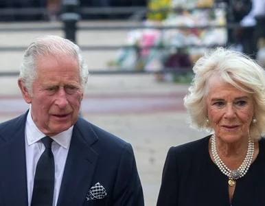 Miniatura: Deszczówka i oszczędzanie prądu. Król...