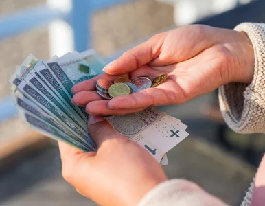 Miniatura: Ten program zmienia życie. Sprawdź, czy...