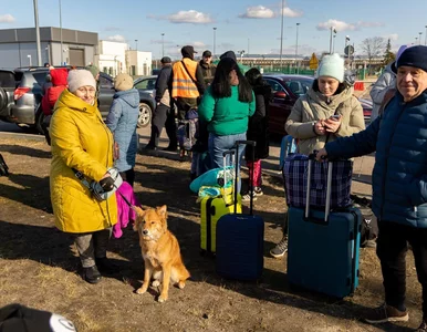 Miniatura: Skąd Polska weźmie pieniądze na pomoc...