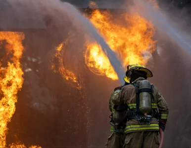 Miniatura: Tylko mundurówka tak podbija sobie...