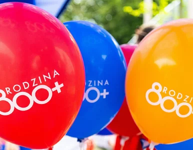Miniatura: Nowe 800 plus. ZUS apeluje do rodziców o...