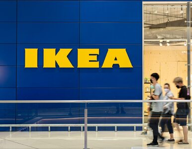 Miniatura: IKEA obniżyła ceny w Polsce. Będzie taniej...