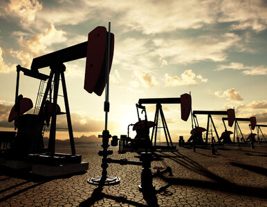 Duże wahania cen ropy przed posiedzeniem OPEC. Będą nowe limity?