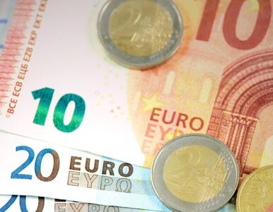 Miniatura: Konto oszczędnościowe w euro – czy warto?
