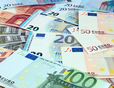 Miniatura: Kursy walut. Trwa korekta na eurodolarze