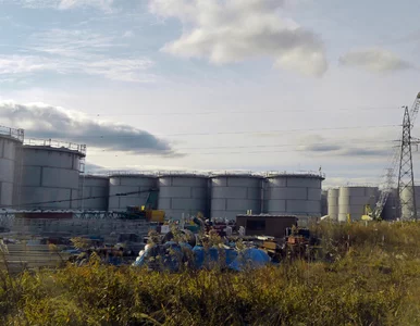 Miniatura: W chińskich sklepach brakuje soli. To...