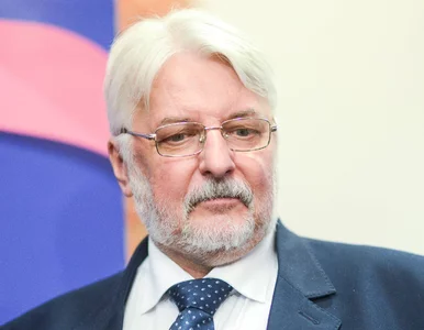 Miniatura: Waszczykowski: To nie my się tłumaczymy,...