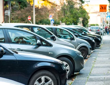 Miniatura: Sypały się kary za parkowanie. Prezes...