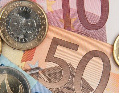 Polacy nie chcą euro przez małe ?e?