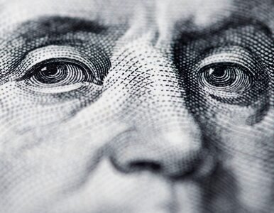 Miniatura: Dolar wykazuje najmniejsze szkody...